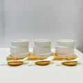 Luxury Spice Jar Set – Set of 3 with Wooden Lids