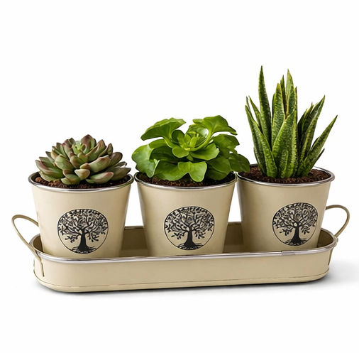 Set of 3 cream indoor plant pots with tree of life design and tray for home decor