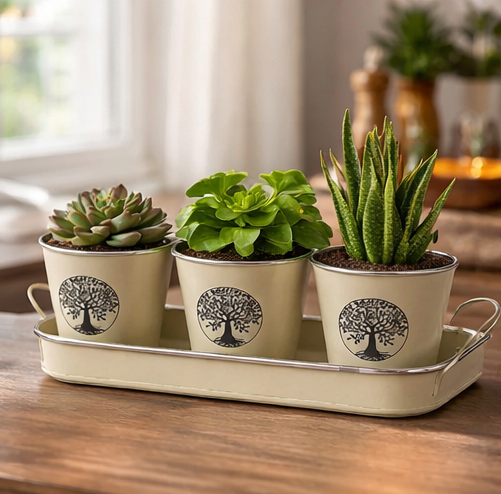 Three potted plants on a decorative tray with a tree design in a home setting.