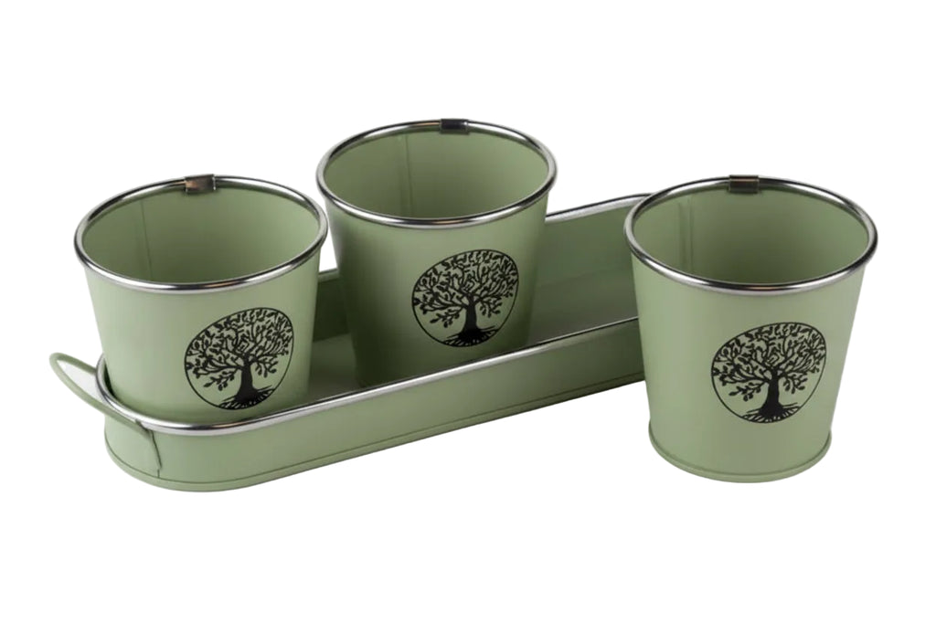 Set of three beige ceramic cups with tree design on a matching tray.