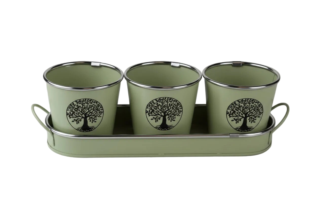 Three ceramic pots with tree design on a matching tray