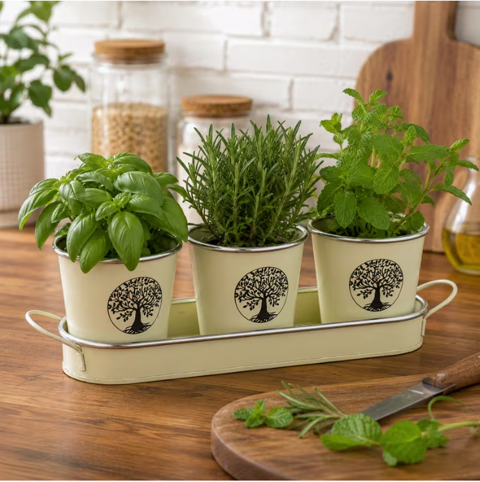 SANCTUARY Tree of Life Indoor Plant Pots & Tray – Wood Brown Set of 3 Decorative Ceramic Planters